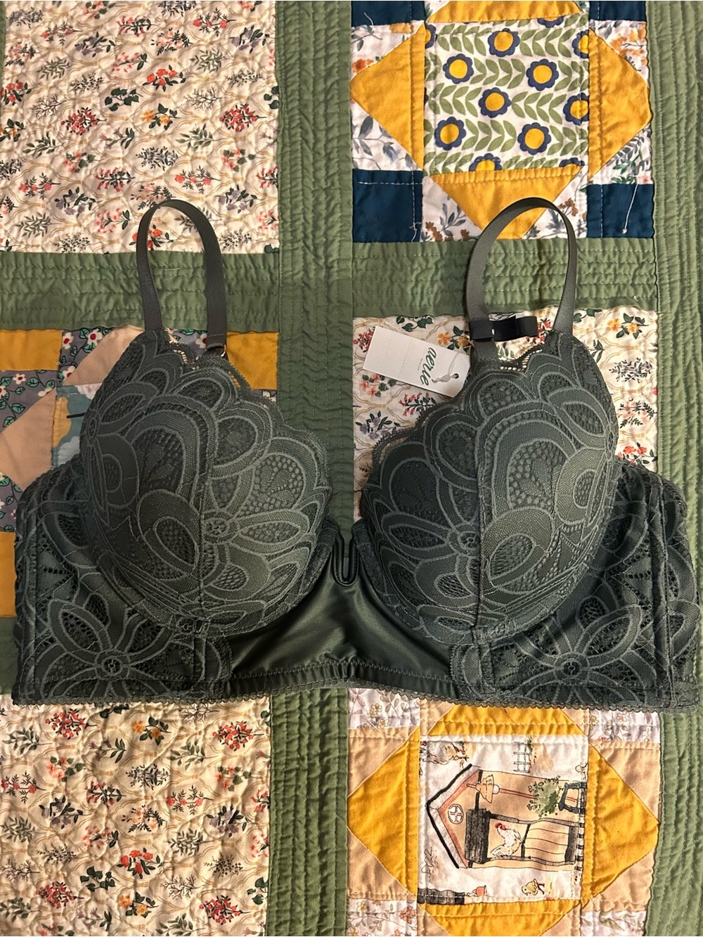 aerie Olive Green Plunge Lace Bra